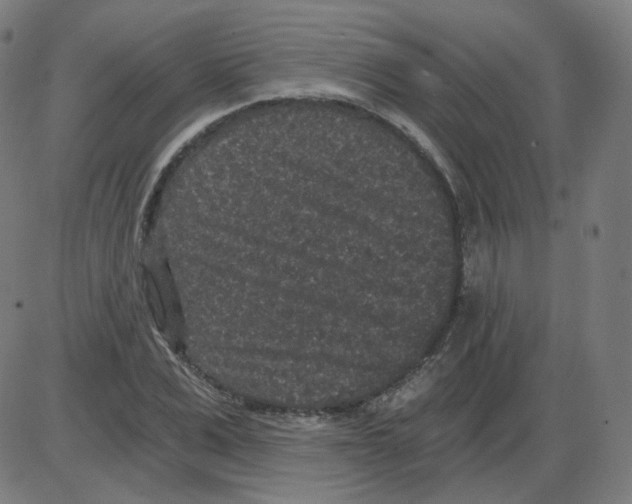 X0000084040975200703161827