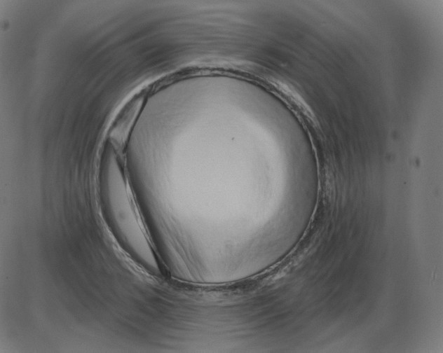 X0000084040976200703161827