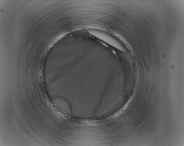 X0000084040977200703161827