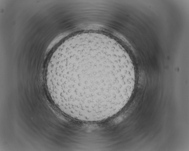 X0000084040978200703161827