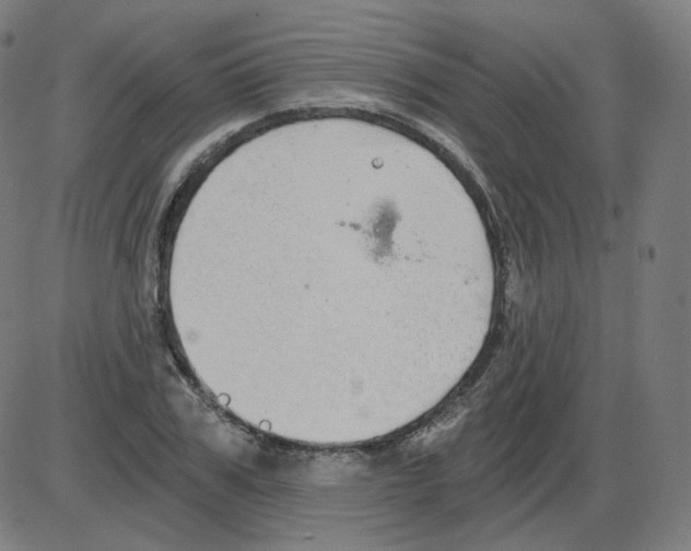 X0000084040979200703161827