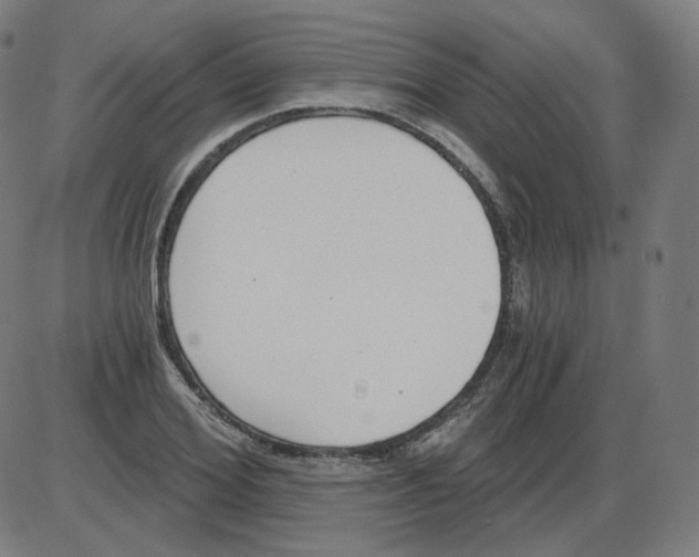 X0000084040980200703161827