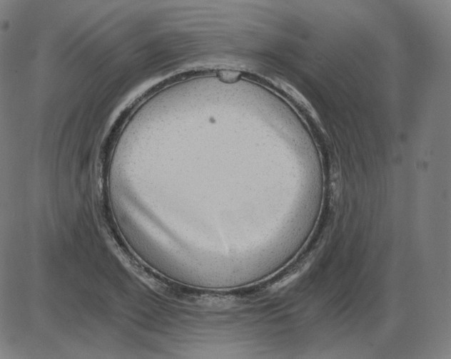 X0000084040981200703161827