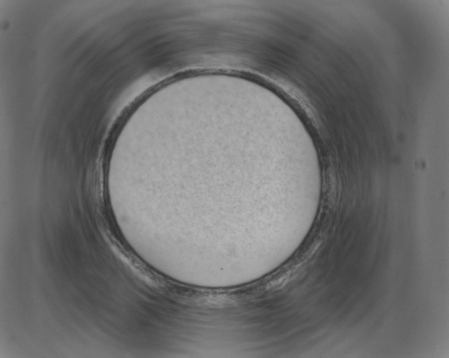 X0000084040982200703161827