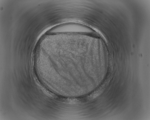 X0000084040983200703161827