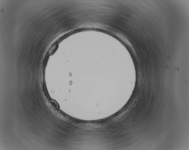 X0000084040984200703161827