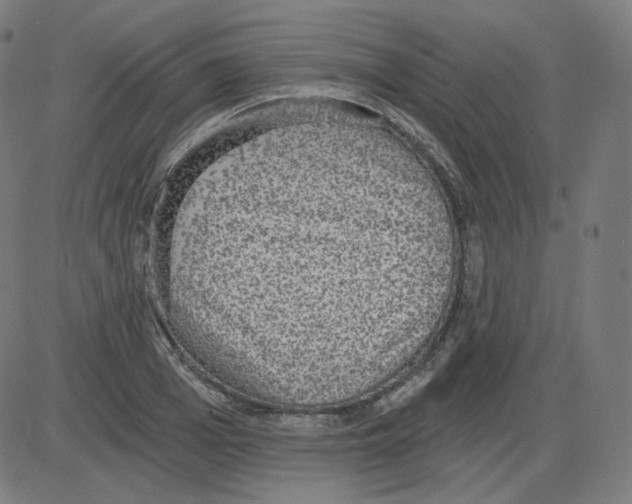 X0000084040985200703161827