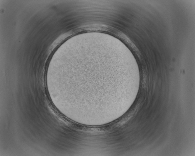 X0000084040986200703161827