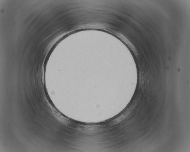 X0000084040988200703161827