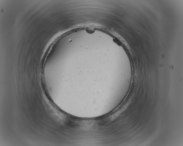 X0000084040989200703161827