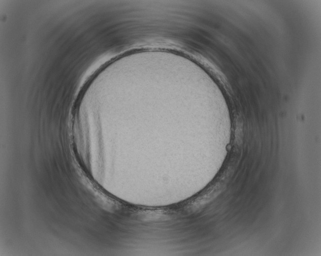 X0000084040990200703161827