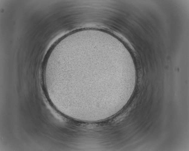 X0000084040991200703161827