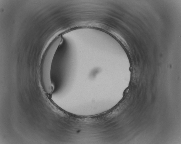 X0000084040992200703161827