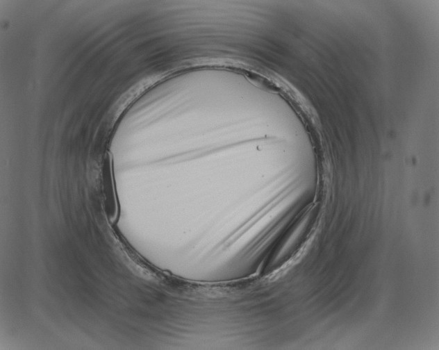 X0000084040993200703161827