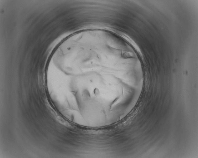 X0000084040996200703161827