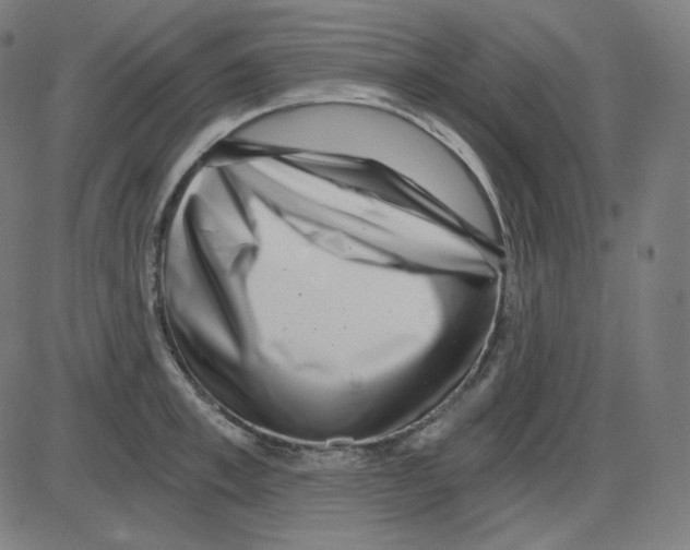 X0000084040997200703161827