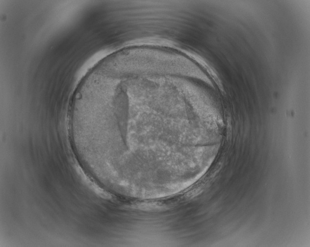 X0000084040998200703161826