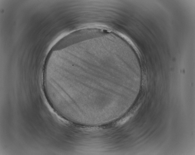 X0000084040999200703161826