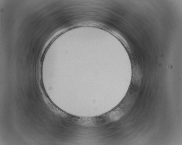 X0000084041000200703161826