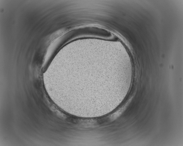 X0000084041001200703161826