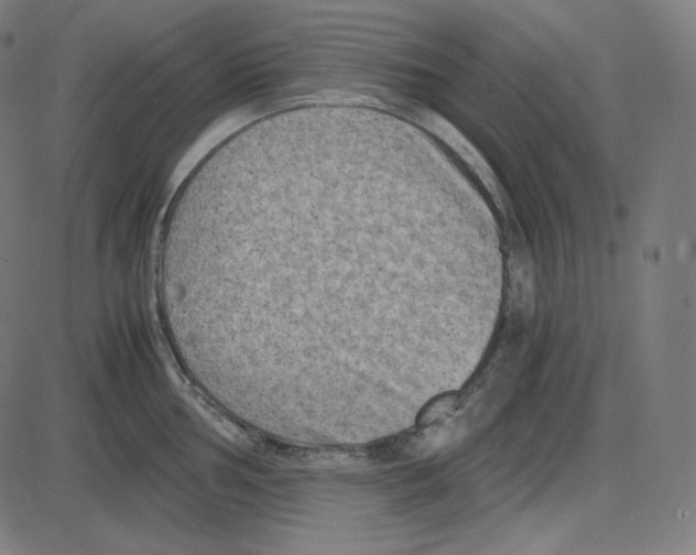 X0000084041002200703161826