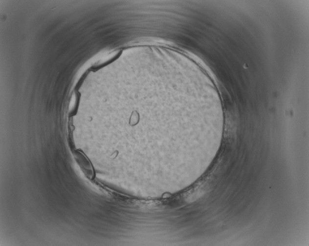 X0000084041003200703161826