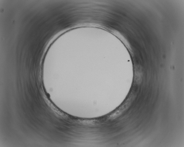 X0000084041004200703161826