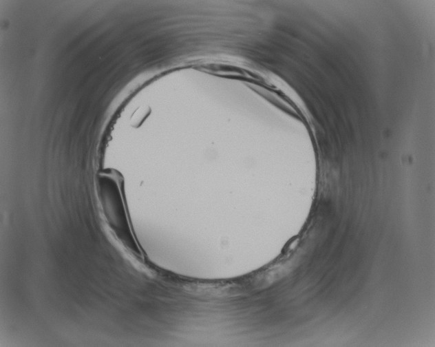 X0000084041005200703161826