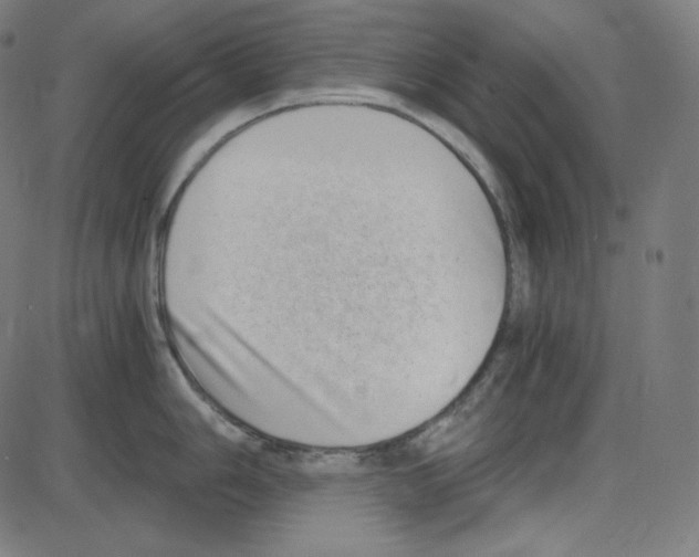 X0000084041006200703161826