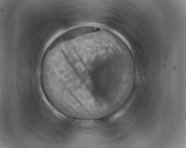 X0000084041007200703161826