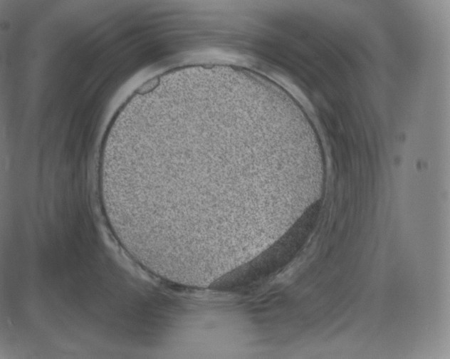 X0000084041008200703161826