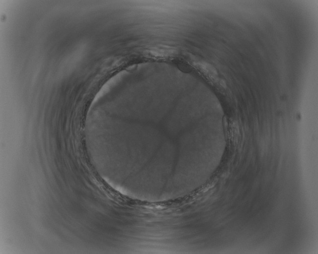 X0000084041009200703161826