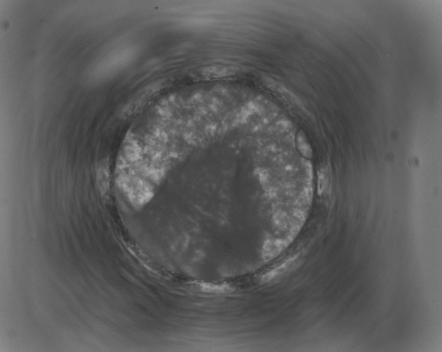 X0000084041011200703161826