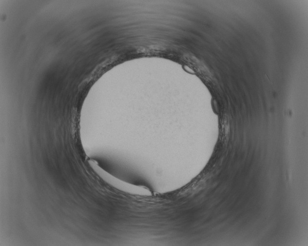 X0000084041012200703161826