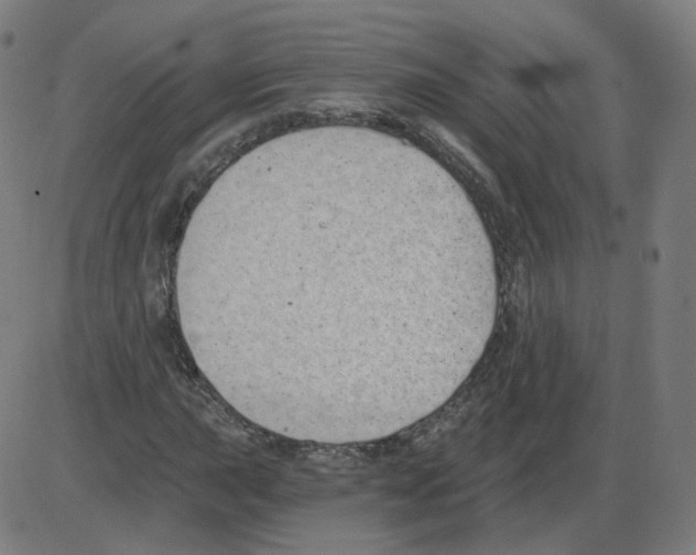 X0000084041015200703161826