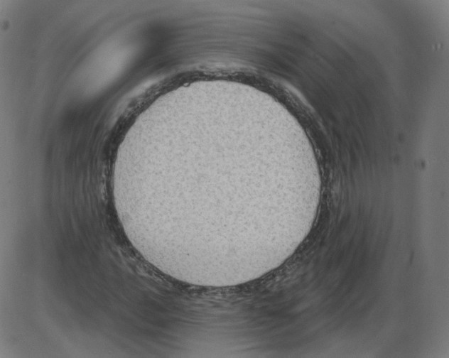 X0000084041016200703161826