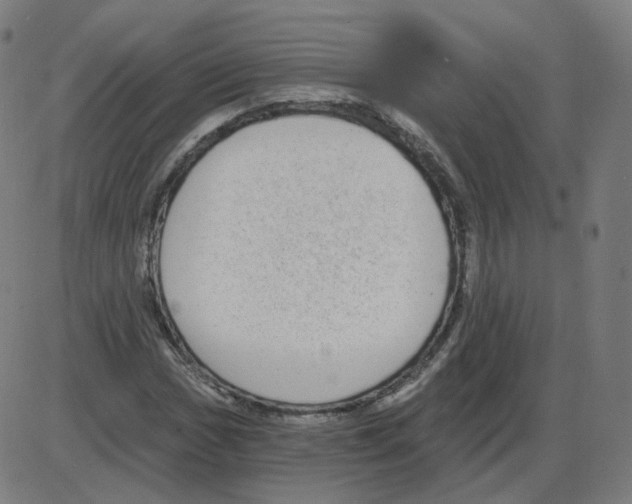 X0000084041017200703161826