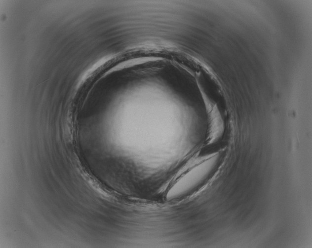 X0000084041018200703161826