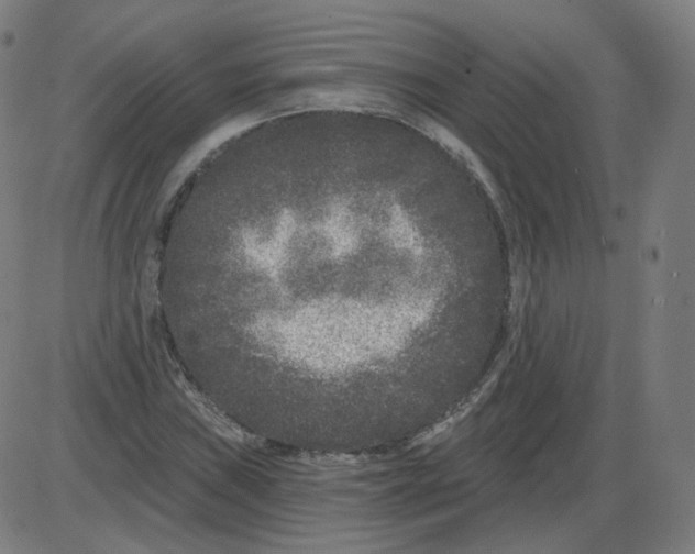 X0000084041019200703161826