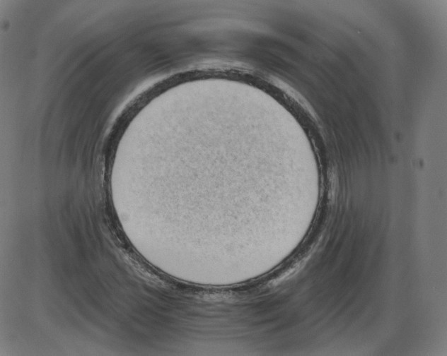 X0000084041021200703161826