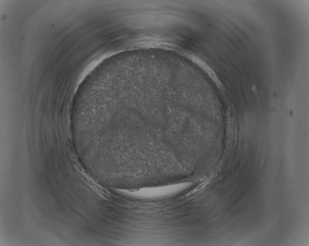 X0000084041023200703161826