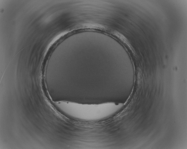 X0000084041024200703161826