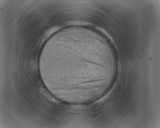 X0000084041025200703161826