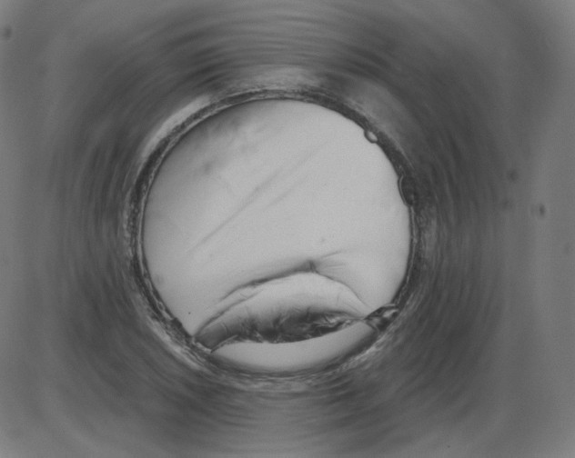 X0000084041026200703161826