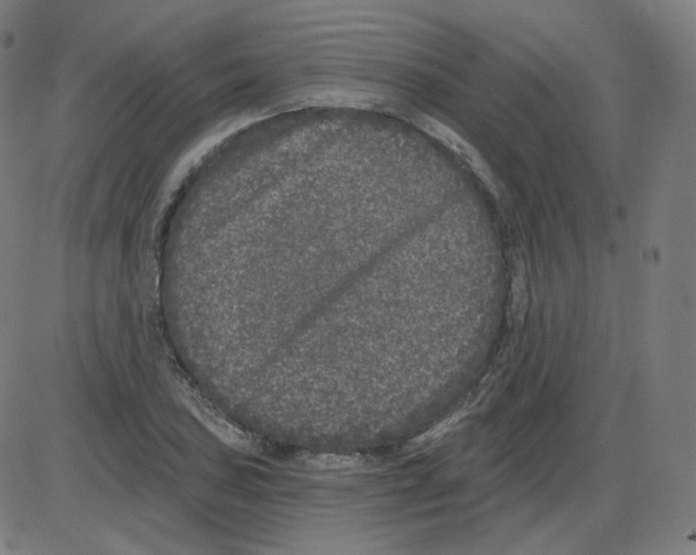 X0000084041027200703161826