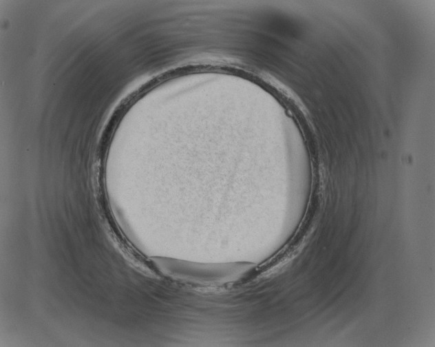 X0000084041029200703161826