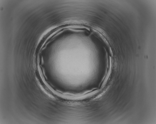 X0000084041030200703161826