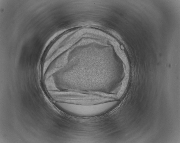 X0000084041032200703161826