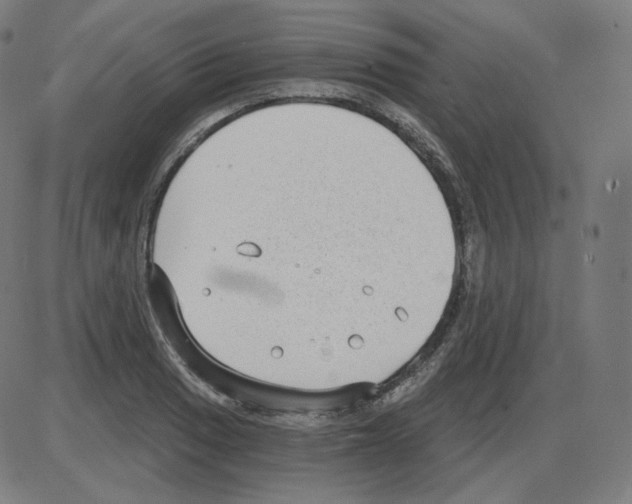 X0000084041033200703161826