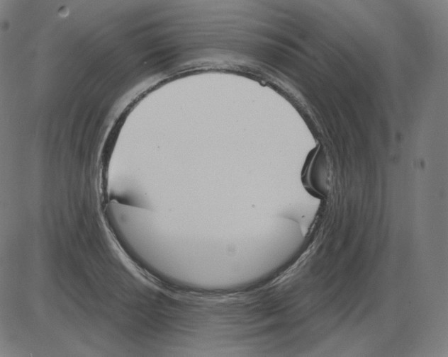 X0000084041034200703161826